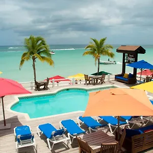 3* Hotel Palms